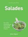 Steven Wheeler - Salades