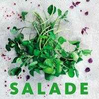 Een recept uit Janneke Philippi en Serge Philippi - Salade