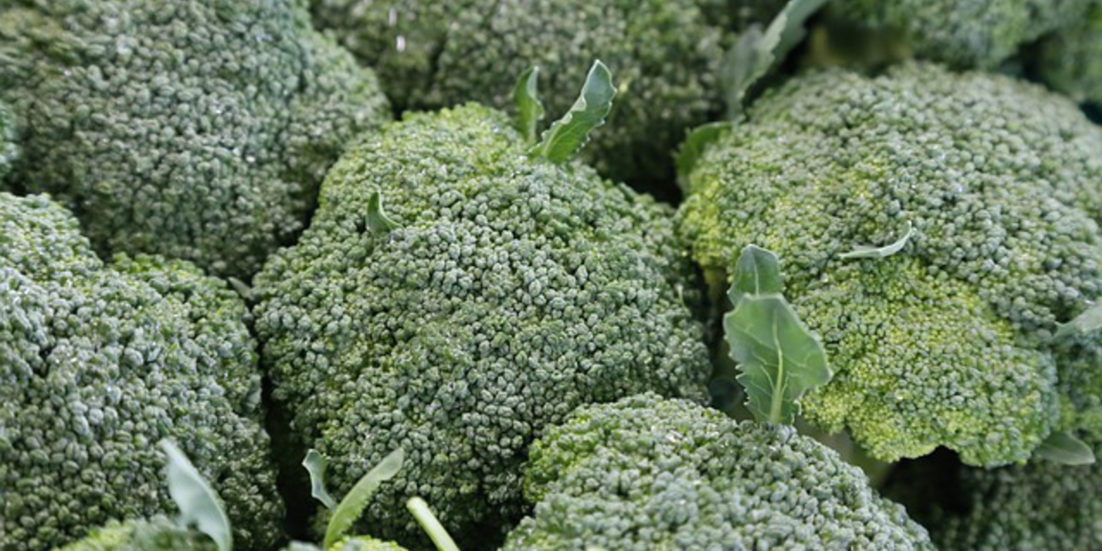 Foto van broccoli